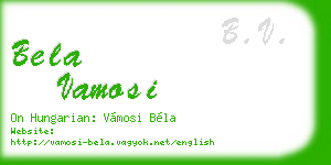 bela vamosi business card
